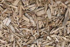 biomass boilers Troedyraur