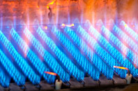 Troedyraur gas fired boilers